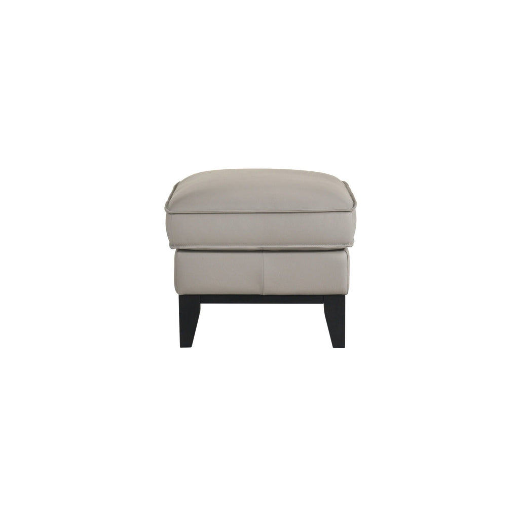 Aaron - Leather Ottoman - Mist Gray